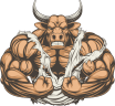 Muscle Gym Equipment